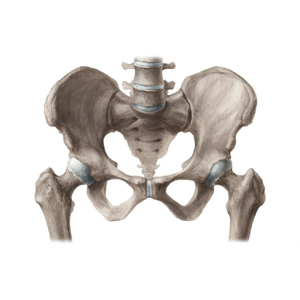 Boney Framework